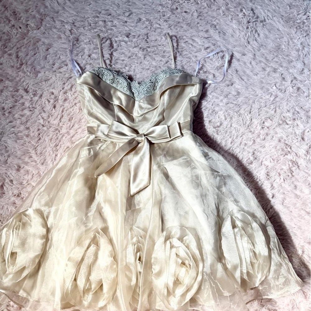 Vintage Y2K Fairy Rosette Whimsical Lace Sweetheart Cocktail Dress Womens 4 Hoco